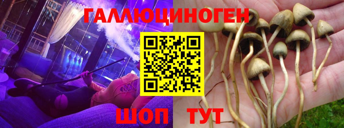 цены   Псилоцибиновые грибы MAGIC MUSHROOMS  Вход с VPN  Ликино-Дулёво 