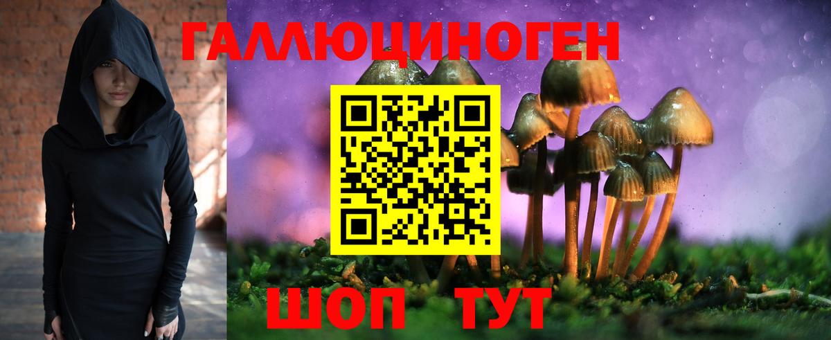 Псилоцибиновые грибы Psilocybine cubensis Ликино-Дулёво